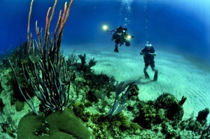 scuba diving in vietnam